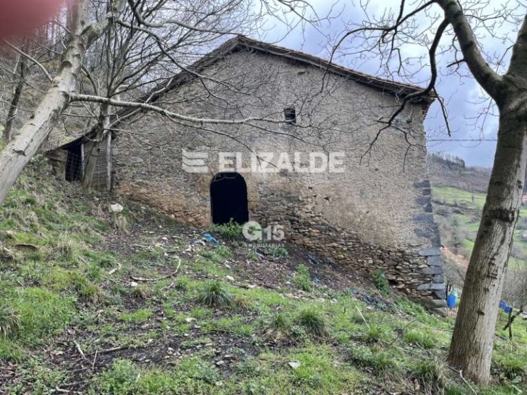 Foto 17 de PARTZELA eta BASERRIA SALGAI - PARCELA y CASERIO A LA VENTA