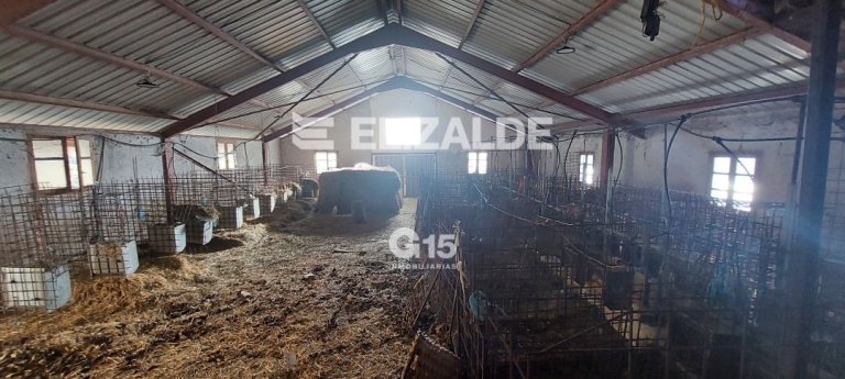 Foto 21 de PARTZELA eta BASERRIA SALGAI - PARCELA y CASERIO A LA VENTA