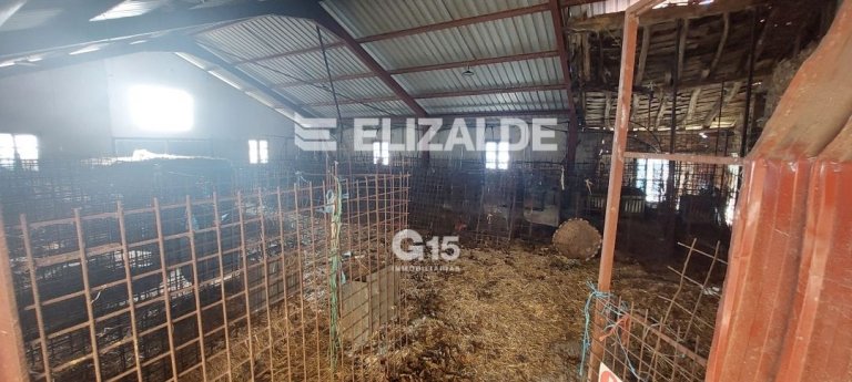 Foto 30 de PARTZELA eta BASERRIA SALGAI - PARCELA y CASERIO A LA VENTA