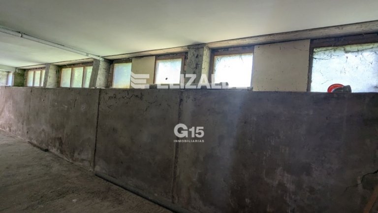 Foto 9 de LOCAL EN LAUAIZETA