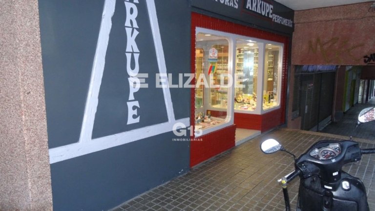 Foto 9 de LOCAL COMERCIAL EN CORREOS