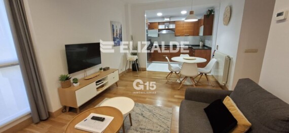 CENTRO CALLE ARRASATE APARTAMENTO CON LICENCIA VT